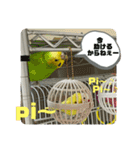 ゆきちゃん宅スタンプ6（個別スタンプ：9）