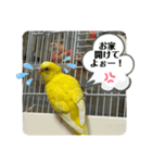 ゆきちゃん宅スタンプ6（個別スタンプ：10）