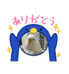 ゆきちゃん宅スタンプ6（個別スタンプ：12）
