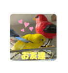 ゆきちゃん宅スタンプ6（個別スタンプ：14）