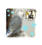 ゆきちゃん宅スタンプ6（個別スタンプ：18）