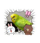 ゆきちゃん宅スタンプ6（個別スタンプ：19）
