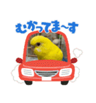 ゆきちゃん宅スタンプ6（個別スタンプ：20）