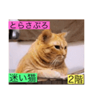 ガッシー2階ねこーず2021冬バージョン（個別スタンプ：2）
