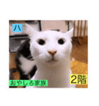 ガッシー2階ねこーず2021冬バージョン（個別スタンプ：3）
