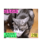 ガッシー2階ねこーず2021冬バージョン（個別スタンプ：4）