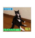 ガッシー2階ねこーず2021冬バージョン（個別スタンプ：5）