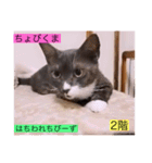 ガッシー2階ねこーず2021冬バージョン（個別スタンプ：6）