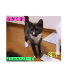 ガッシー2階ねこーず2021冬バージョン（個別スタンプ：7）