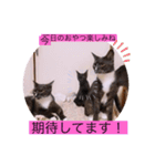 ガッシー2階ねこーず2021冬バージョン（個別スタンプ：15）