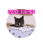 ガッシー2階ねこーず2021冬バージョン（個別スタンプ：24）