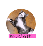 ガッシー2階ねこーず2021冬バージョン（個別スタンプ：34）