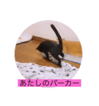 ガッシー2階ねこーず2021冬バージョン（個別スタンプ：36）