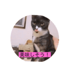 ガッシー2階ねこーず2021冬バージョン（個別スタンプ：38）