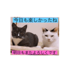 ガッシー2階ねこーず2021冬バージョン（個別スタンプ：40）