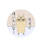 ほんわかタヌキ（個別スタンプ：10）