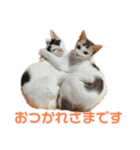 しわおとしあわせ（個別スタンプ：4）