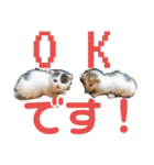 しわおとしあわせ（個別スタンプ：8）