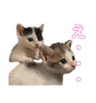 しわおとしあわせ（個別スタンプ：14）