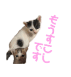しわおとしあわせ（個別スタンプ：19）