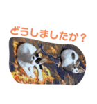 しわおとしあわせ（個別スタンプ：22）