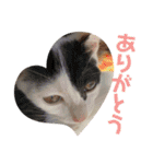 しわおとしあわせ（個別スタンプ：28）