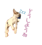 しわおとしあわせ（個別スタンプ：29）