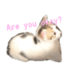しわおとしあわせ（個別スタンプ：35）