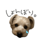 せなくん②（個別スタンプ：11）