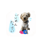 せなくん②（個別スタンプ：15）