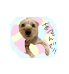せなくん②（個別スタンプ：19）