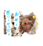 2号2ヶ月号（個別スタンプ：6）