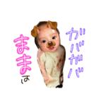 2号2ヶ月号（個別スタンプ：8）