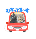 気ままな猫達12（個別スタンプ：25）