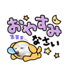 ポメラニアンのコタくん（個別スタンプ：16）