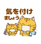 あけおめスタンプ1トラ猫（個別スタンプ：3）