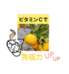 〈冬〉ジャッキー太郎（個別スタンプ：10）
