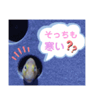 〈冬〉ジャッキー太郎（個別スタンプ：13）
