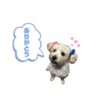 ふくくんスタンプ4（個別スタンプ：5）