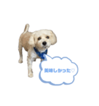 ふくくんスタンプ4（個別スタンプ：7）