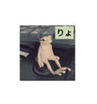 催促（個別スタンプ：8）