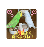 ゆきちゃん宅スタンプ7（個別スタンプ：6）