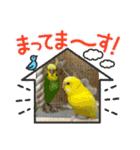 ゆきちゃん宅スタンプ7（個別スタンプ：10）