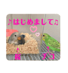 ゆきちゃん宅スタンプ7（個別スタンプ：12）
