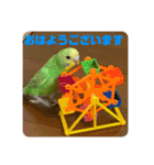 ゆきちゃん宅スタンプ7（個別スタンプ：15）