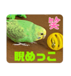 ゆきちゃん宅スタンプ7（個別スタンプ：17）
