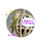 ゆきちゃん宅スタンプ7（個別スタンプ：18）