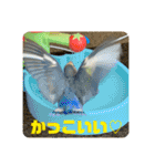 ゆきちゃん宅スタンプ7（個別スタンプ：20）