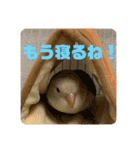 ゆきちゃん宅スタンプ7（個別スタンプ：23）