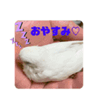 ゆきちゃん宅スタンプ7（個別スタンプ：24）